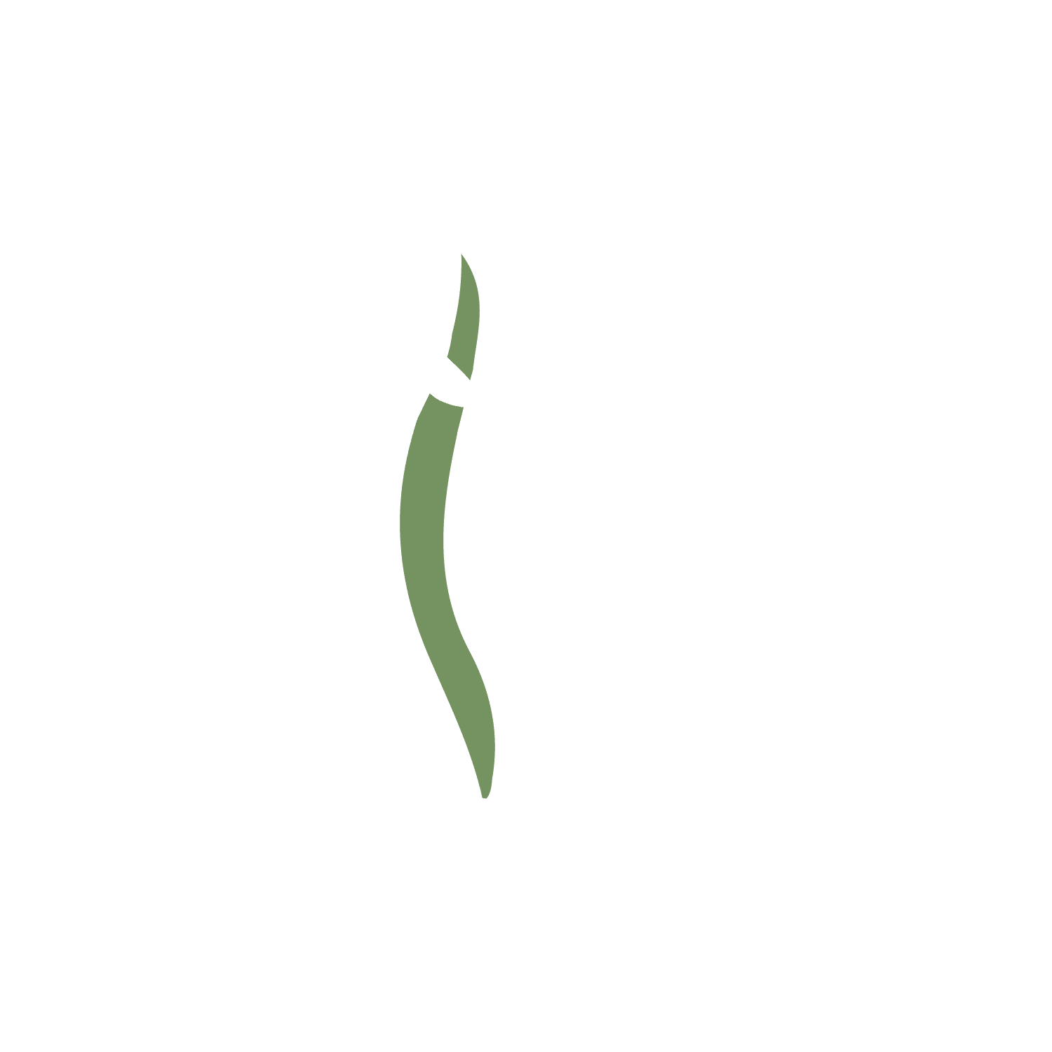 element-wht — Axis Spine