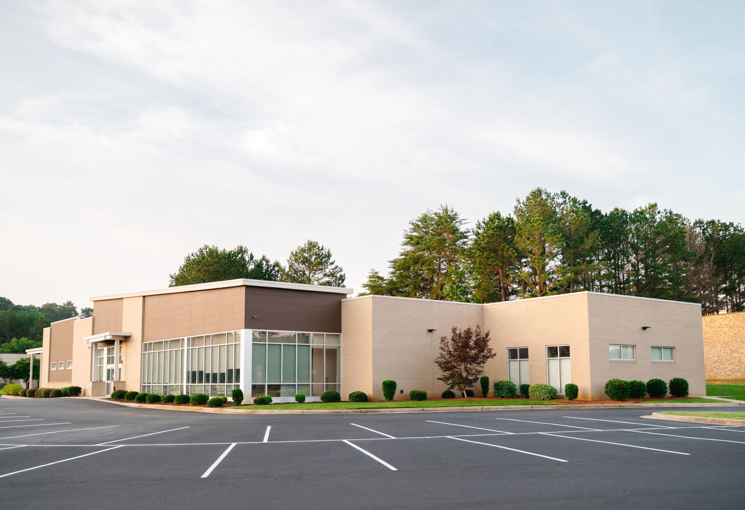 A photo of a health professional in Dublin guiding a patient through a back pain treatment consultation, with a soft background of the city or Georgia map.