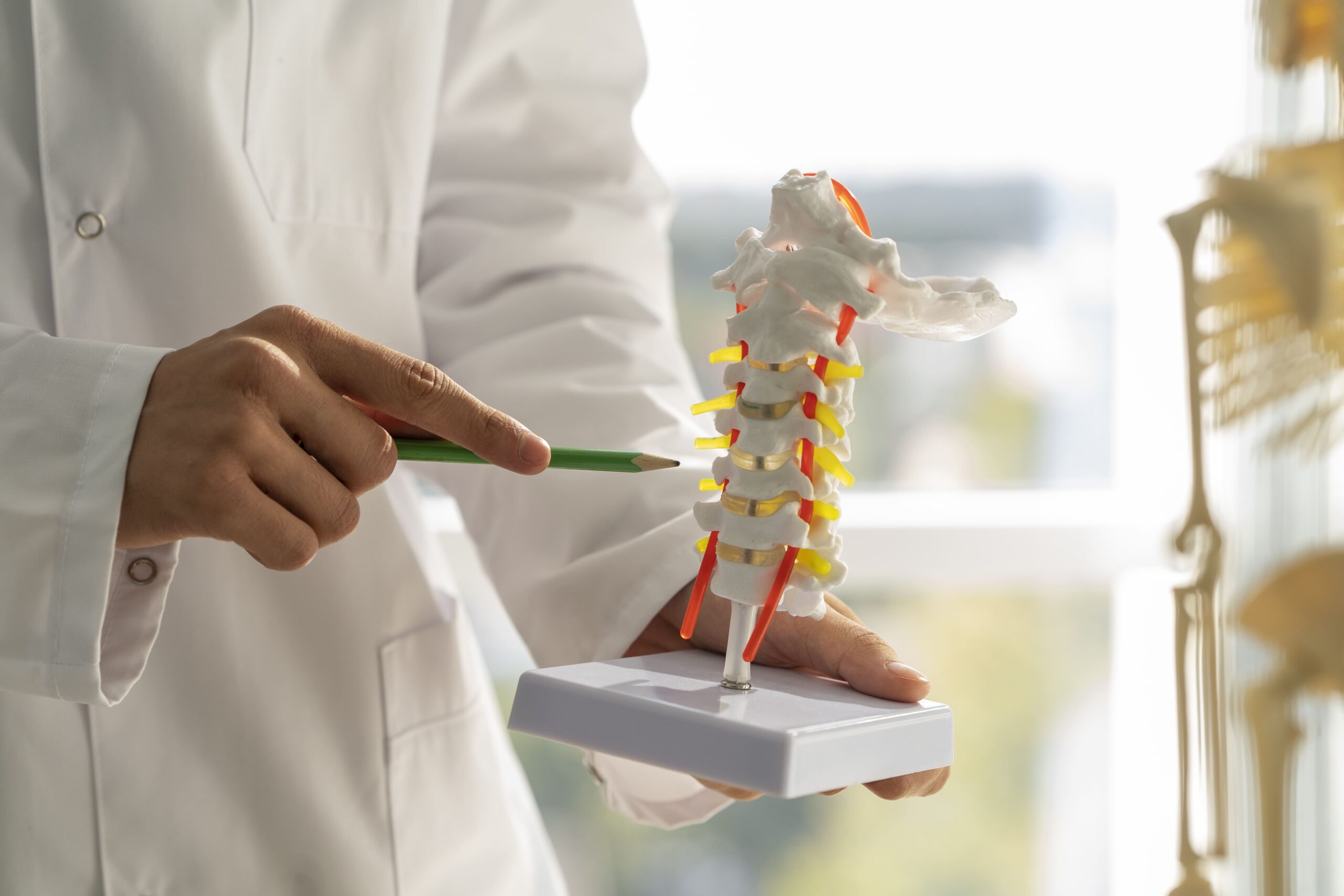Medical Branch Blocks, Axis Spine (1)