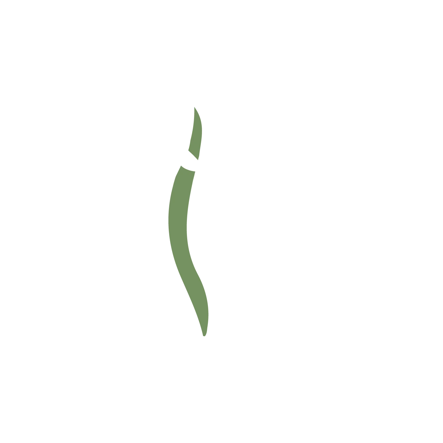 element-wht — Axis Spine